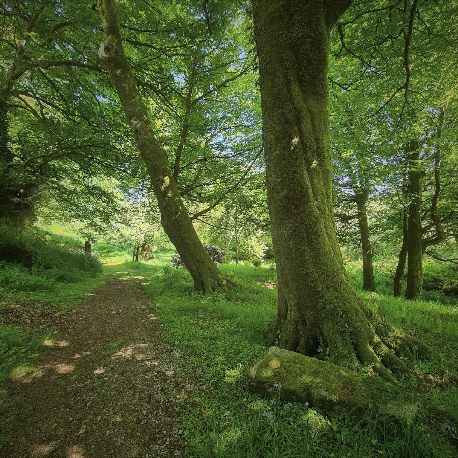 Ta Mill Holiday Cottages & Lodges -Ta Mill House 朗斯顿 外观 照片