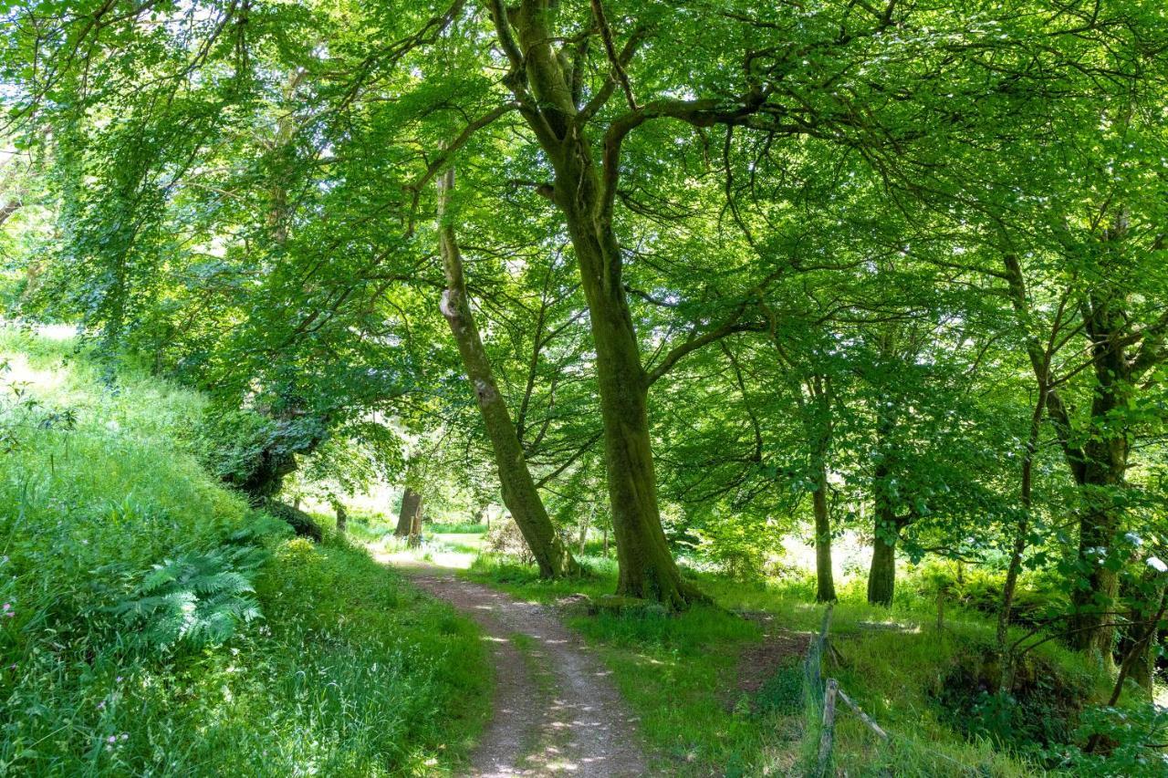 Ta Mill Holiday Cottages & Lodges -Ta Mill House 朗斯顿 外观 照片