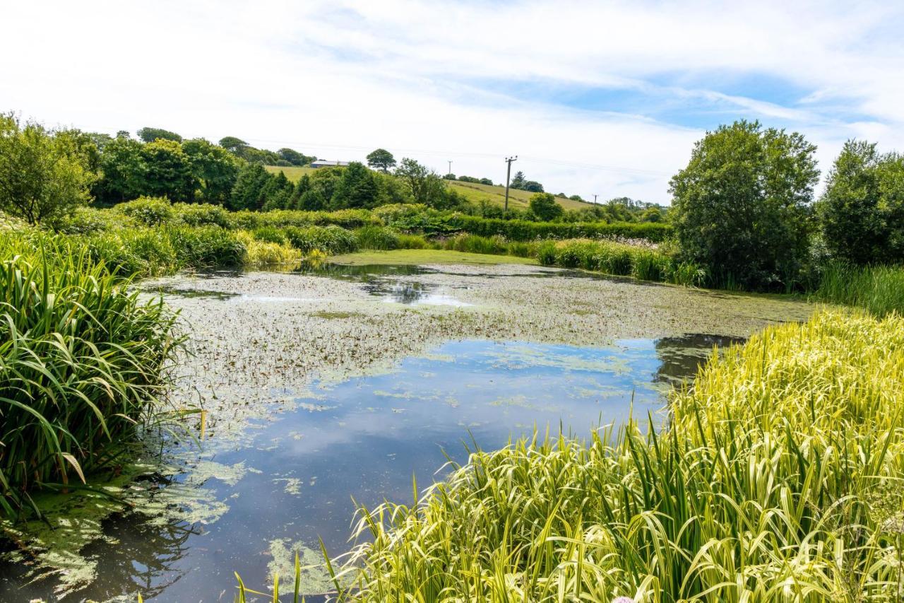 Ta Mill Holiday Cottages & Lodges -Ta Mill House 朗斯顿 外观 照片